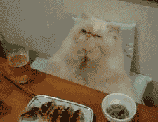 http://upforme.ru/uploads/0004/02/e8/7248/t511929.gif
