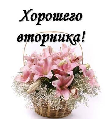 http://upforme.ru/uploads/0004/02/e8/7248/t51598.jpg