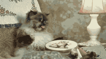 http://upforme.ru/uploads/0004/02/e8/7248/t575858.gif