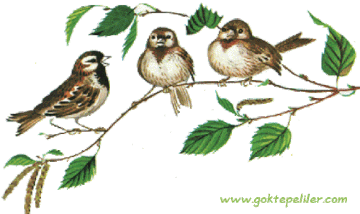 http://upforme.ru/uploads/0004/02/e8/7248/t584969.gif