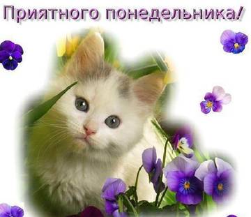 http://upforme.ru/uploads/0004/02/e8/7248/t59306.jpg