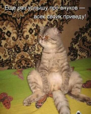 http://upforme.ru/uploads/0004/02/e8/7248/t608181.jpg