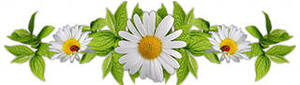 http://upforme.ru/uploads/0004/02/e8/7248/t629965.jpg
