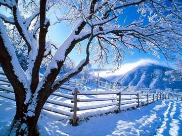 http://upforme.ru/uploads/0004/02/e8/7248/t66174.jpg