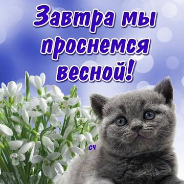 http://upforme.ru/uploads/0004/02/e8/7248/t685424.jpg