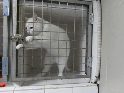 http://upforme.ru/uploads/0004/02/e8/7248/t73040.gif
