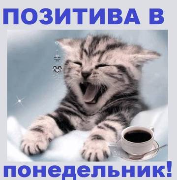 http://upforme.ru/uploads/0004/02/e8/7248/t73602.jpg