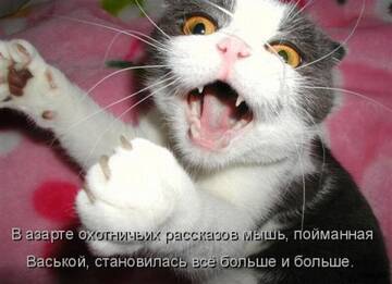 http://upforme.ru/uploads/0004/02/e8/7248/t744631.jpg