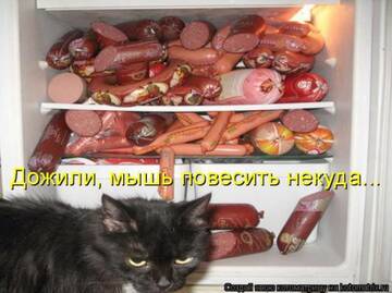 http://upforme.ru/uploads/0004/02/e8/7248/t752893.jpg