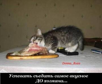 http://upforme.ru/uploads/0004/02/e8/7248/t773943.jpg
