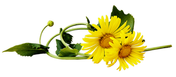 http://upforme.ru/uploads/0004/02/e8/7248/t843996.png