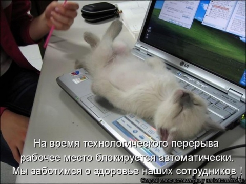 http://upforme.ru/uploads/0004/02/e8/7248/t848659.jpg