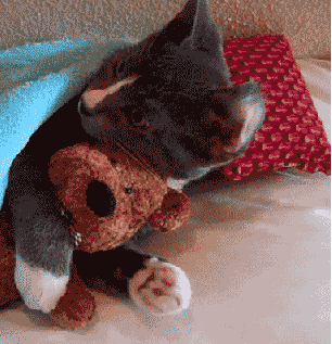 http://upforme.ru/uploads/0004/02/e8/7248/t85115.gif