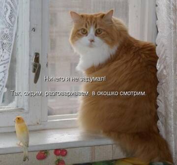 http://upforme.ru/uploads/0004/02/e8/7248/t85978.jpg