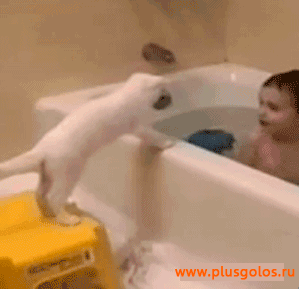 http://upforme.ru/uploads/0004/02/e8/7248/t869016.gif