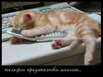 http://upforme.ru/uploads/0004/02/e8/7248/t888371.jpg