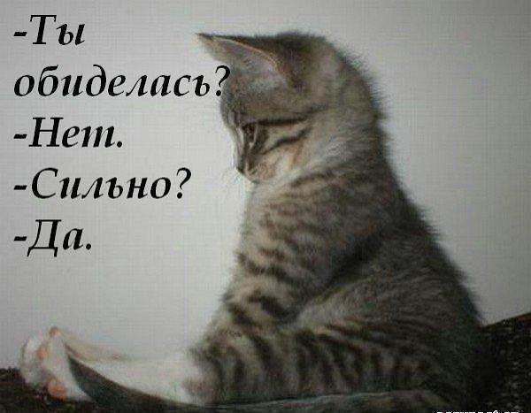 http://upforme.ru/uploads/0004/02/e8/7248/t915508.jpg