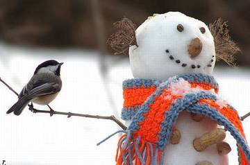 http://upforme.ru/uploads/0004/02/e8/7248/t92566.jpg