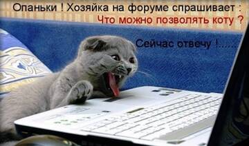http://upforme.ru/uploads/0004/02/e8/7248/t932463.jpg
