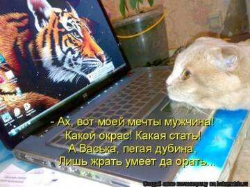 http://upforme.ru/uploads/0004/02/e8/7248/t938647.jpg