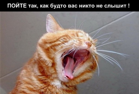 http://upforme.ru/uploads/0004/02/e8/7248/t941123.jpg