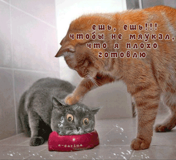 http://upforme.ru/uploads/0004/02/e8/7248/t949814.gif