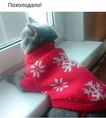 http://upforme.ru/uploads/0004/02/e8/7248/t958933.jpg