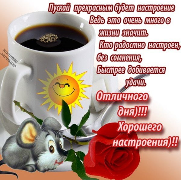 http://upforme.ru/uploads/0004/02/e8/7719/31688.jpg