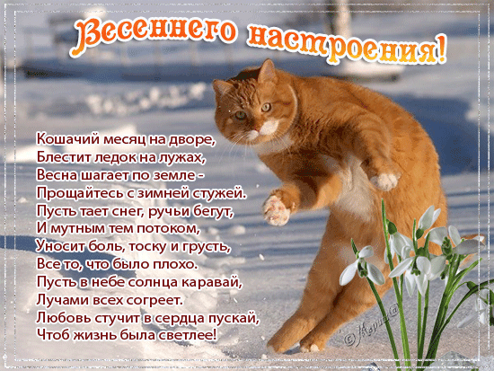 http://upforme.ru/uploads/0004/02/e8/7719/54354.gif