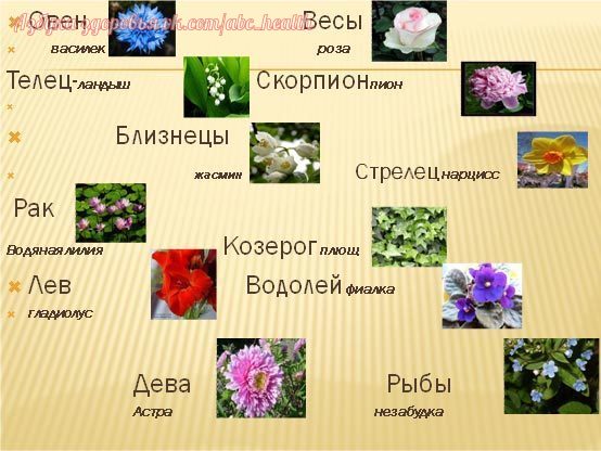 http://upforme.ru/uploads/0004/02/e8/7719/70024.jpg