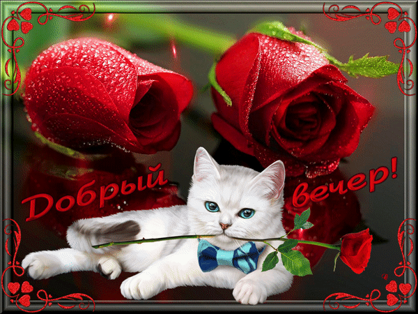 http://upforme.ru/uploads/0004/02/e8/7719/87881.gif
