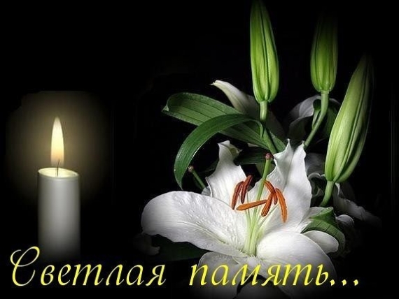 http://upforme.ru/uploads/0004/02/e8/8306/131055.jpg