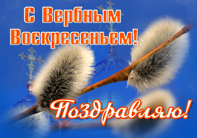 http://upforme.ru/uploads/0004/02/e8/8306/184060.gif
