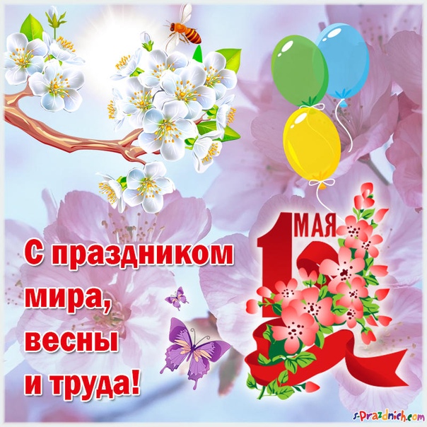http://upforme.ru/uploads/0004/02/e8/8306/245395.jpg