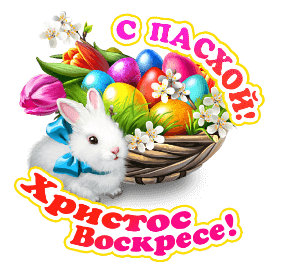 http://upforme.ru/uploads/0004/02/e8/8306/26066.gif