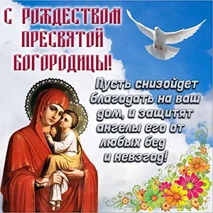 http://upforme.ru/uploads/0004/02/e8/8306/677188.webp