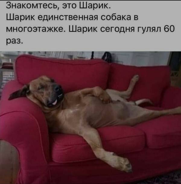 http://upforme.ru/uploads/0004/02/e8/9346/t131316.jpg