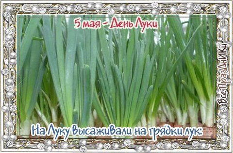 http://upforme.ru/uploads/0004/02/e8/9346/t340580.jpg