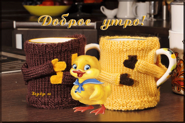 http://upforme.ru/uploads/0004/02/e8/9402/133060.gif