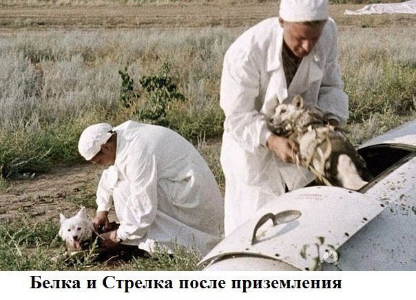 http://upforme.ru/uploads/0004/02/e8/9402/175589.jpg