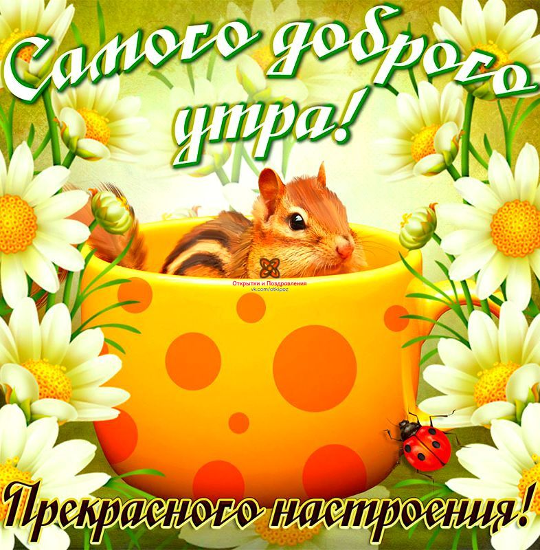http://upforme.ru/uploads/0004/02/e8/9402/370182.jpg