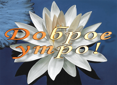 http://upforme.ru/uploads/0004/02/e8/9402/382902.gif