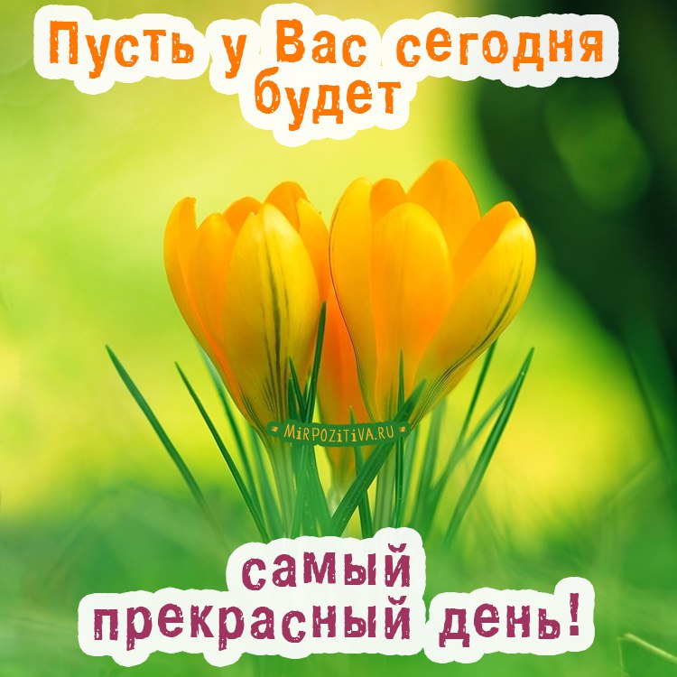 http://upforme.ru/uploads/0004/02/e8/9402/543327.jpg
