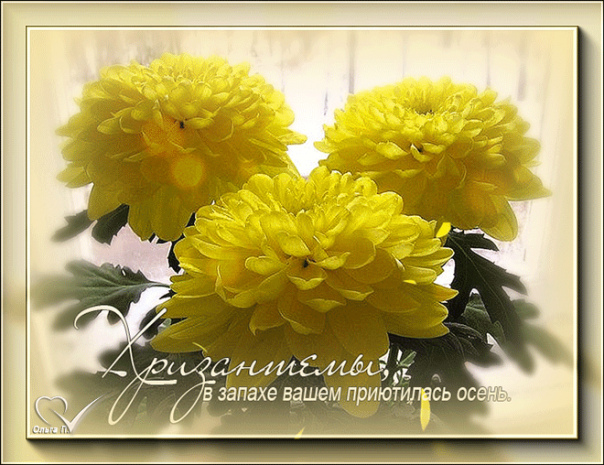 http://upforme.ru/uploads/0004/02/e8/9402/575071.jpg