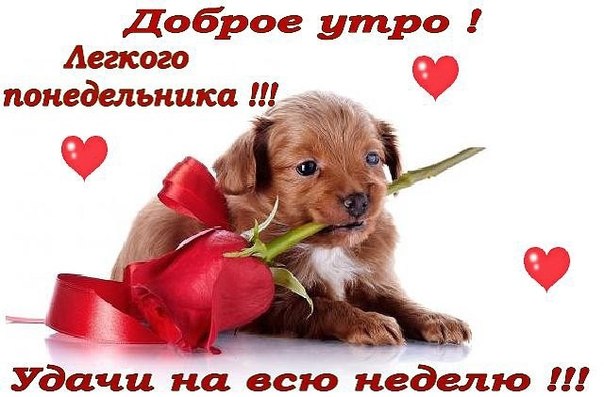 http://upforme.ru/uploads/0004/02/e8/9402/684796.jpg
