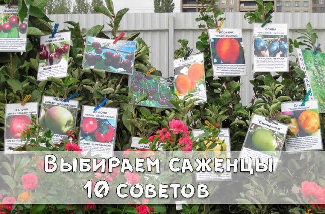 http://upforme.ru/uploads/0004/02/e8/9402/724857.jpg