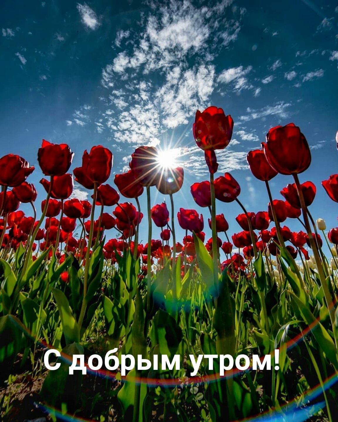 http://upforme.ru/uploads/0004/02/e8/9402/764773.jpg