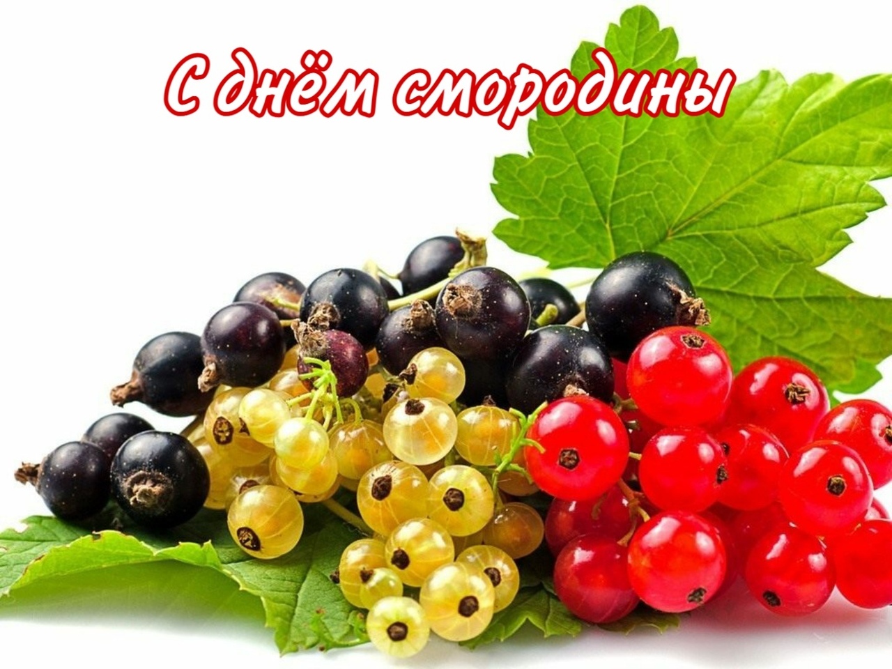http://upforme.ru/uploads/0004/02/e8/9402/774764.jpg