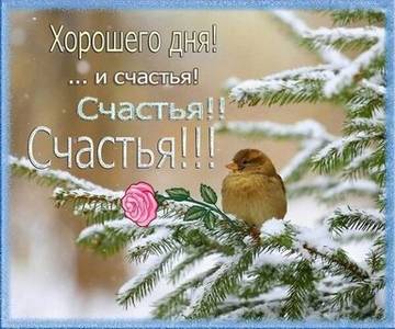 http://upforme.ru/uploads/0004/02/e8/9917/t177086.jpg
