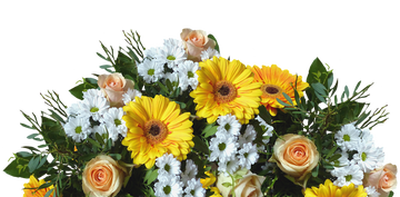 http://upforme.ru/uploads/0004/27/45/180/t293747.png